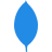 ion
